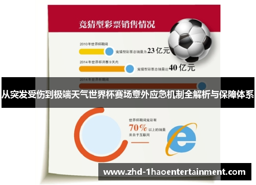 从突发受伤到极端天气世界杯赛场意外应急机制全解析与保障体系